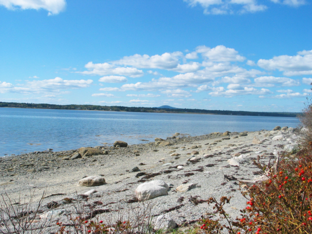 Great beach!
