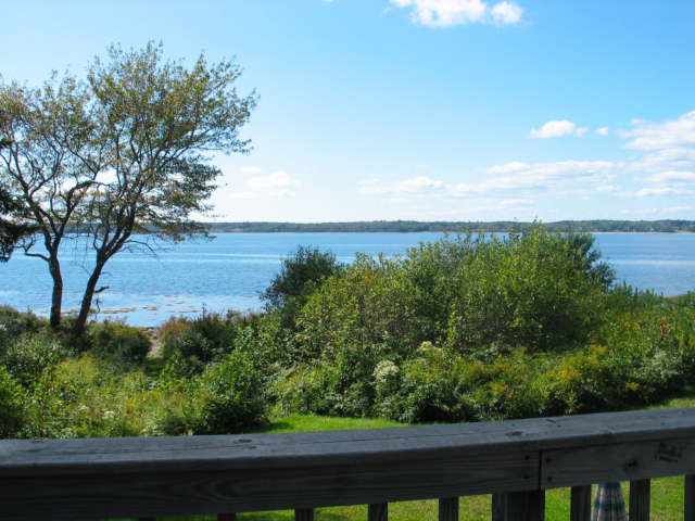 Deck view