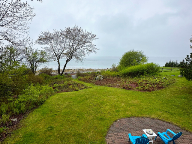 Patio on a rainy day