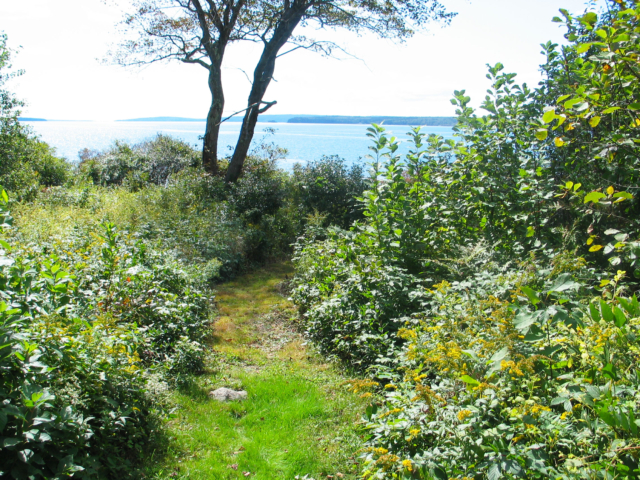 Path to shore