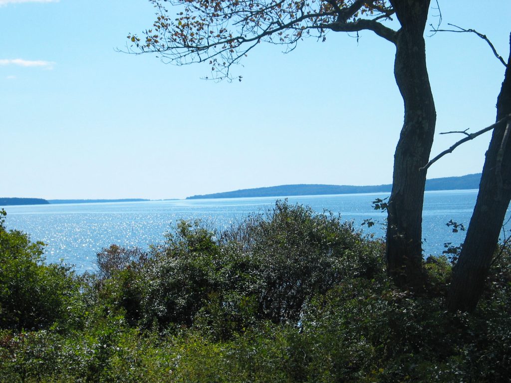 Acadia Bayside — Yard view