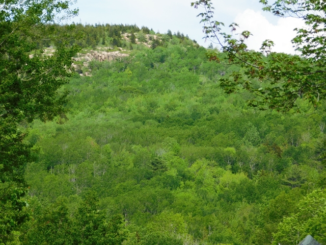 Canon Brook Ledge &mdash; CBL