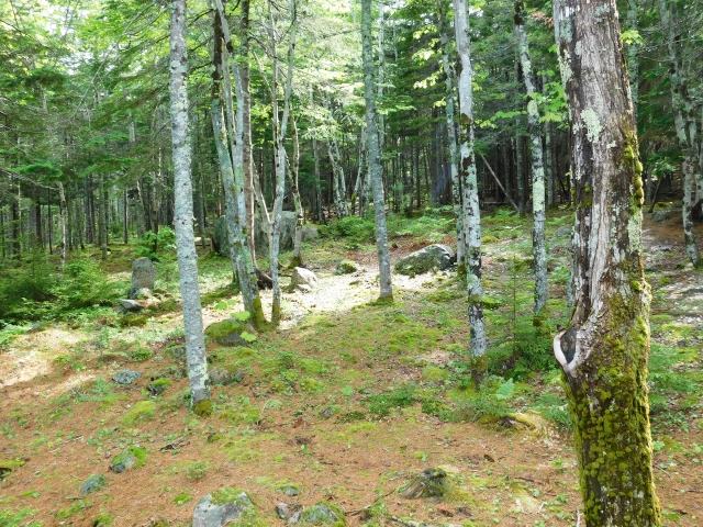 Canon Brook Ledge &mdash; CBL