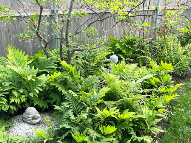 Gardens