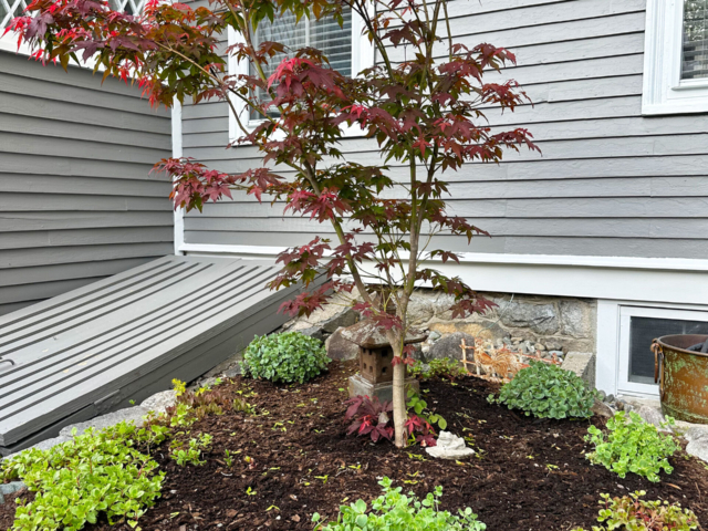 Lovely gardens