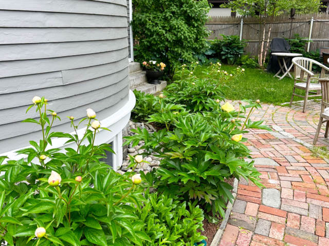 Yard