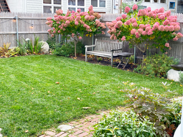 Yard