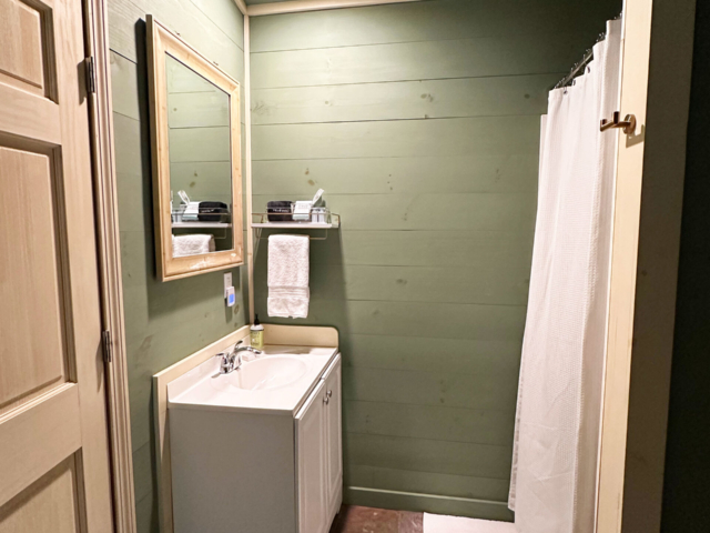 Guest bathroom