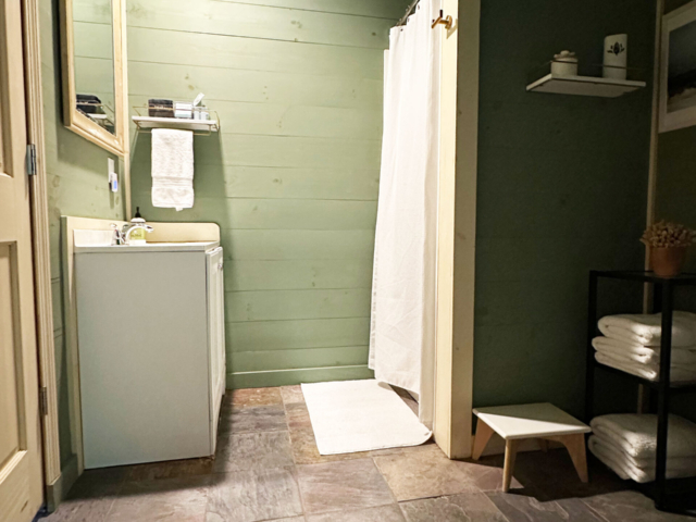 Guest bathroom