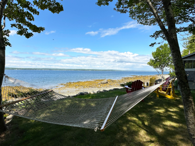 Hammock