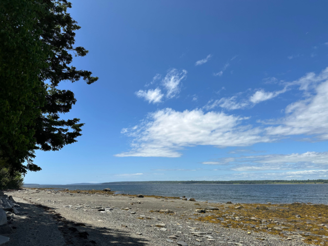 Shore