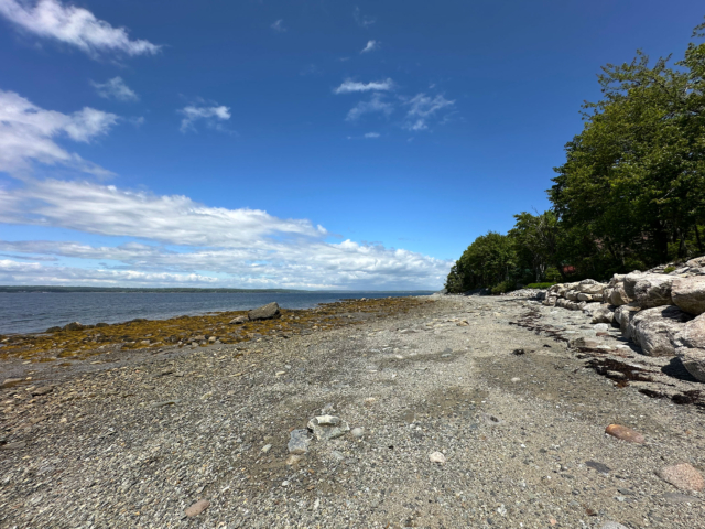 Shore