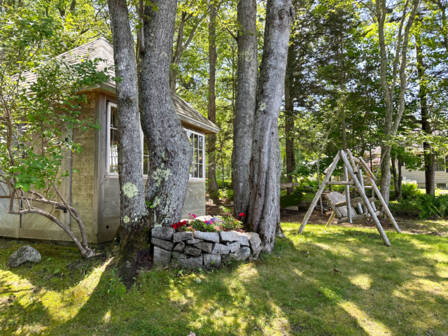 Yard