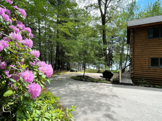 Driveway