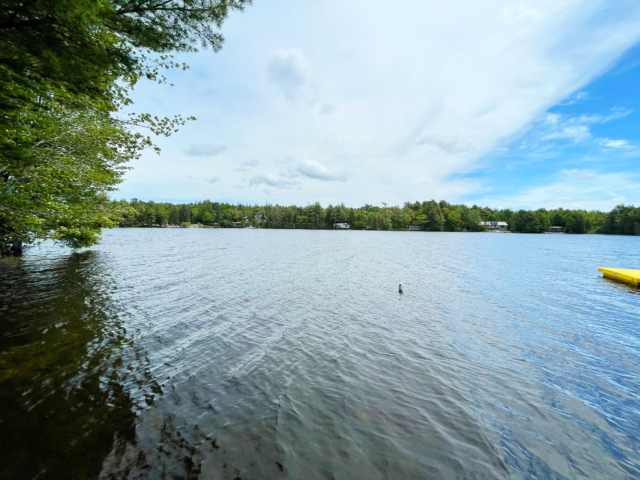 Lake view