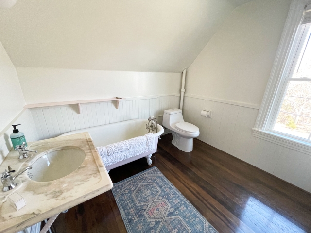 APM-bath2a 2nd floor bathroom with tub (shower spray)