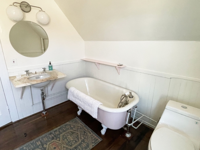 APM-bath2b 2nd floor bathroom with tub (shower spray)