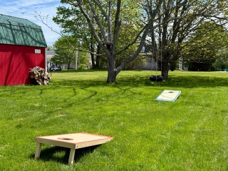 Yard games!