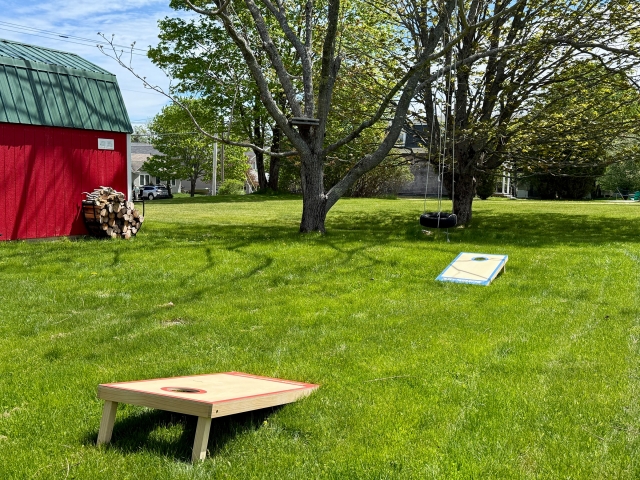 APM-yardgames1 Yard games!