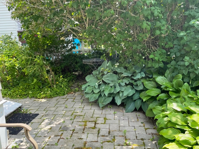 Eden Center Cottage