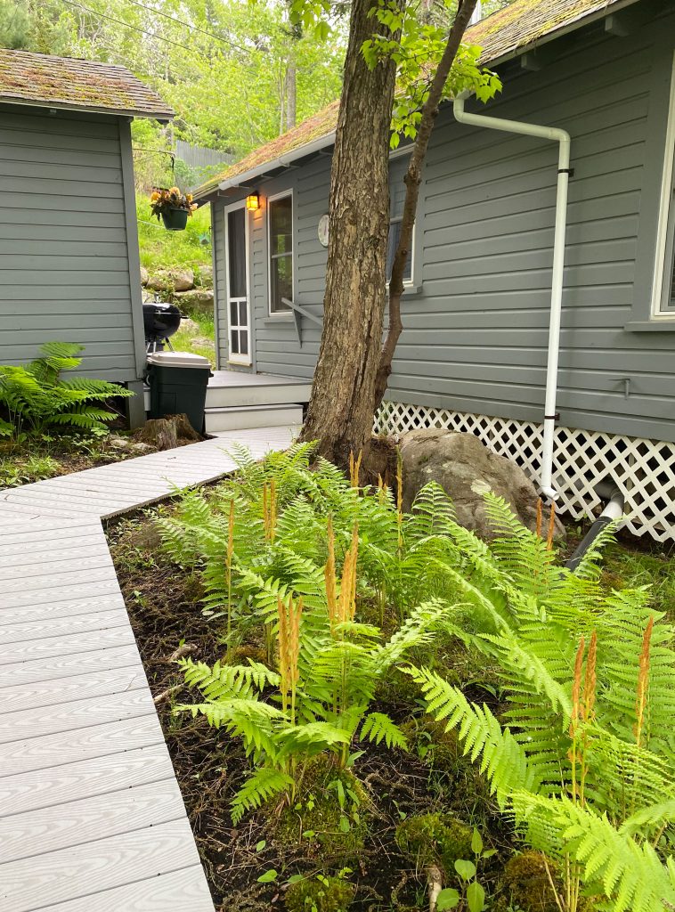 Echo Lakeside — Cottage entry