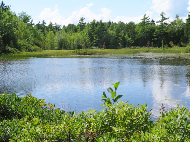 EL-lake-inner Echo Lakeside