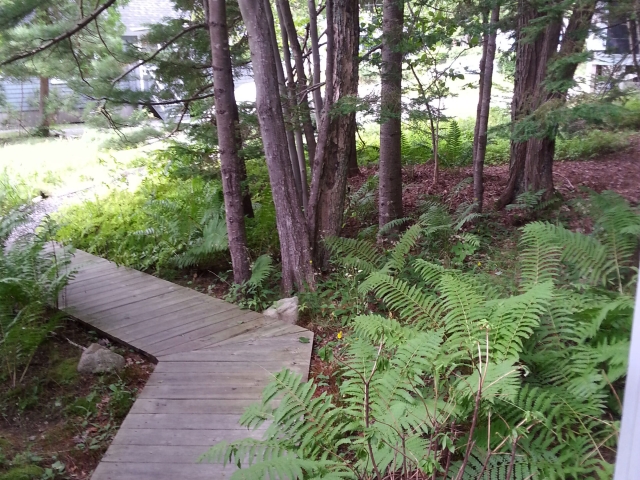 EL-walkway Echo Lakeside