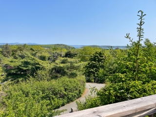Edenview Cottage