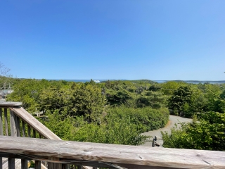 Edenview Cottage