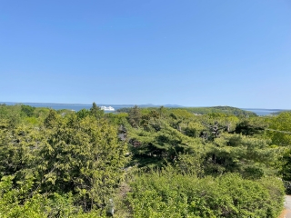 Edenview Cottage