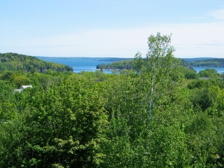 Edenview Cottage
