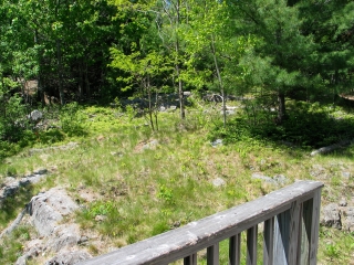 Edenview Cottage
