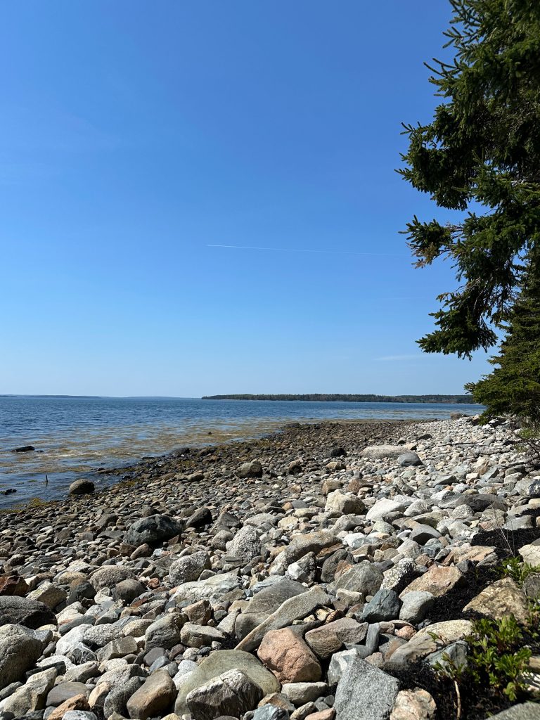 Foxfield Shores — Shore at low tide