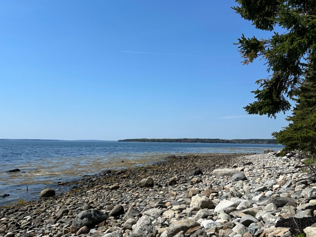 Foxfield Shores