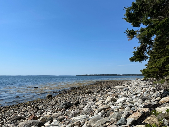 Foxfield Shores