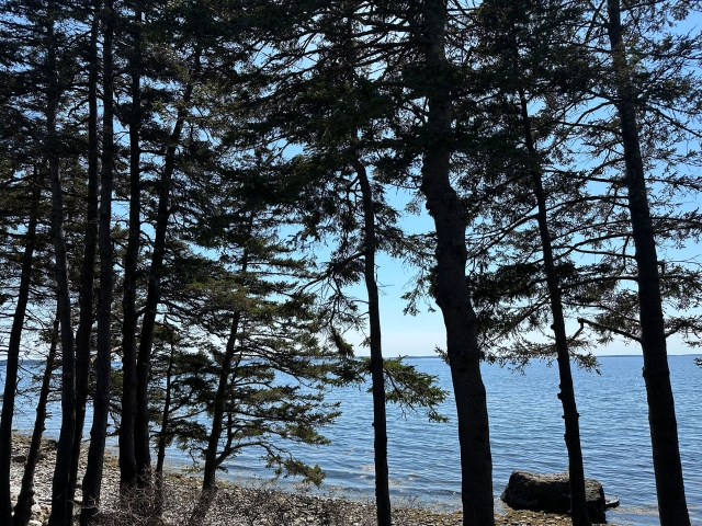 Foxfield Shores