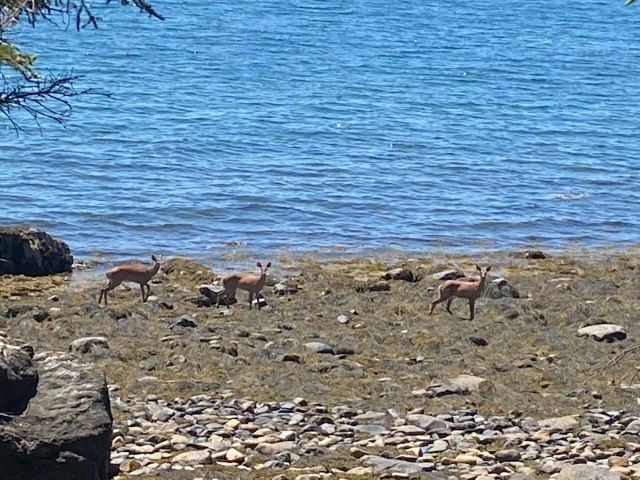 Foxfield Shores