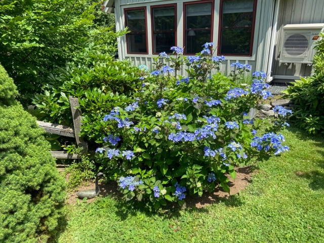 Gardens