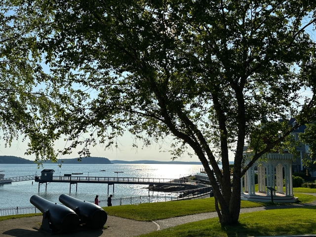 the Harbor