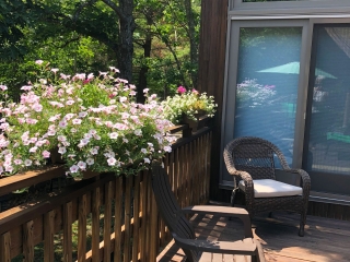 HBC-deck6 Honeybee Chalet