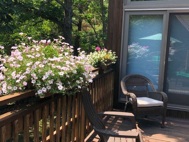 Honeybee Chalet