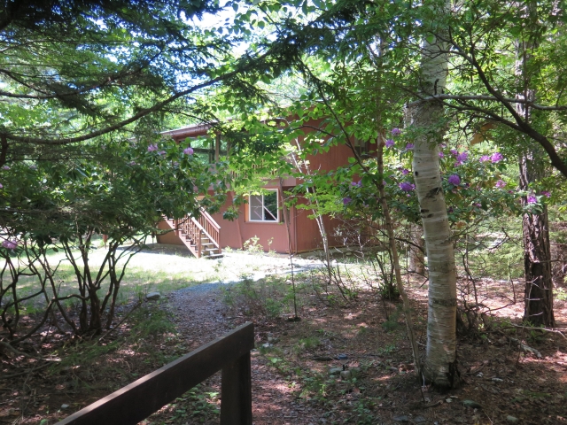 Honeybee Chalet