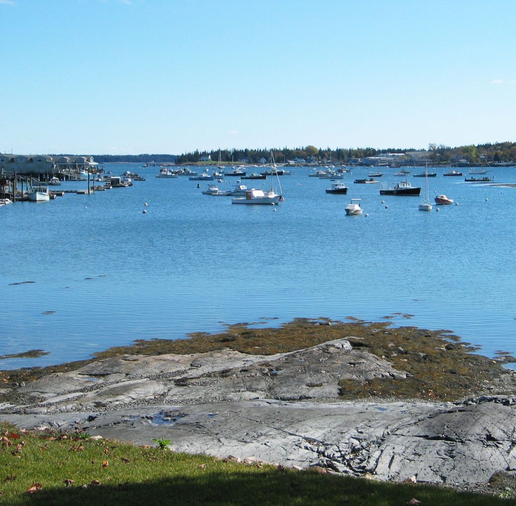 Harborside Summer — Harbor view
