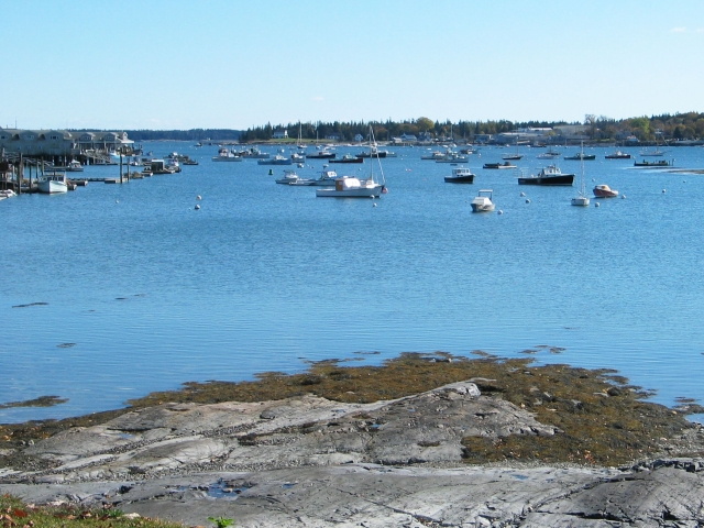 Harborside Summer