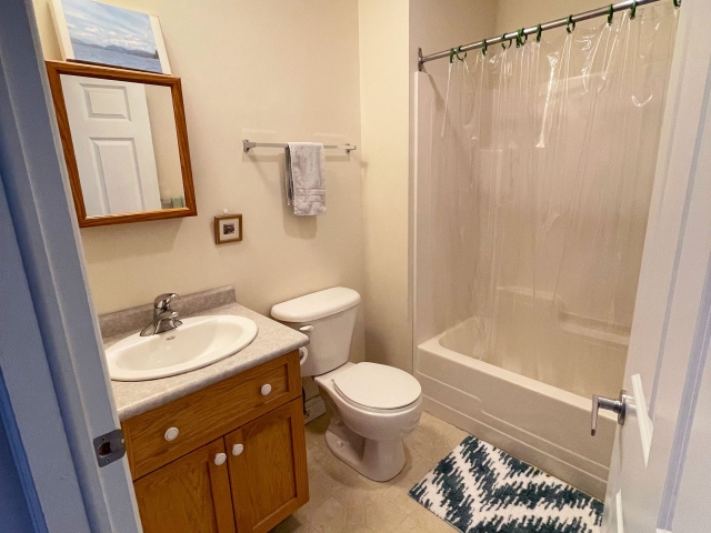 HU-bath1b Hummingbird