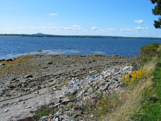 Idyll Shores