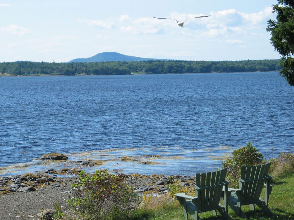 Idyll Shores — Shore view