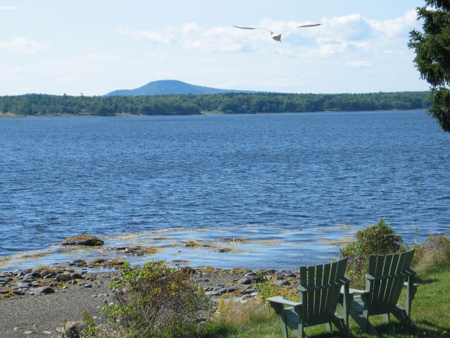 Idyll Shores