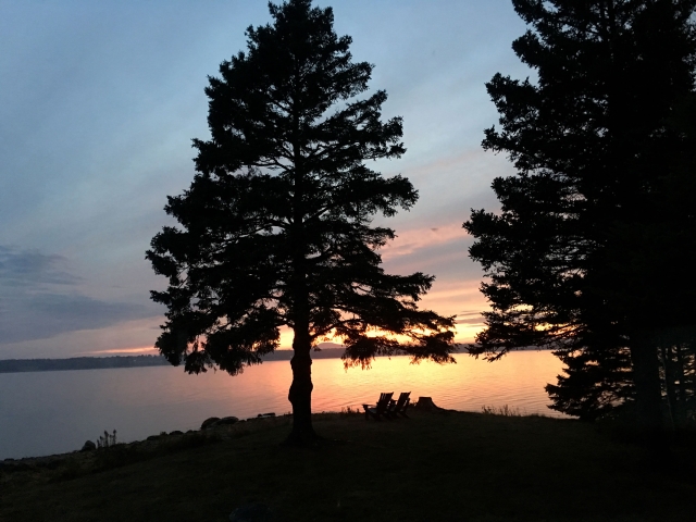 Idyll Shores