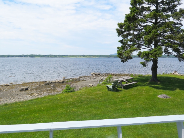 Idyll Shores